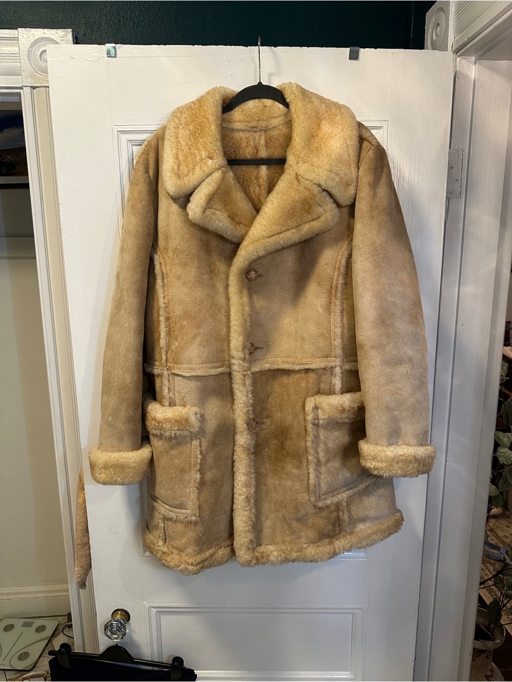 Shearling and Sheepskin Leather Coat